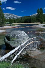 The Lyell Fork flows through Tuolumne Meadows in Yosemite National Park