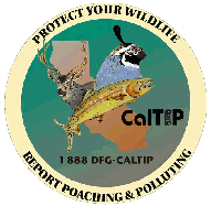 Report Poachers in California