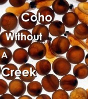 Coho without a Creek in California