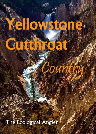 Yellowstone River flows through Native Cutthroat Country