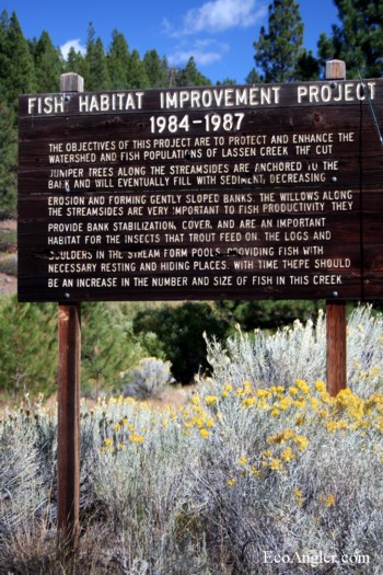Fish Habitat Improvement