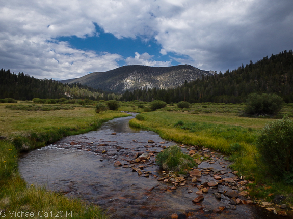 Golden Trout Creek flows through Little Whitney Meadow in the Southern Sierra Mountains.