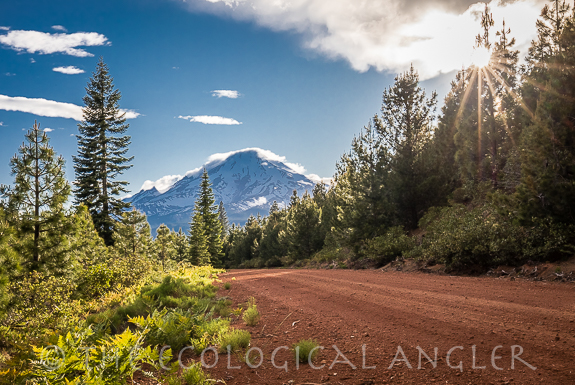 Mount Shasta towers over McCloud River Redband trout stream fishing.